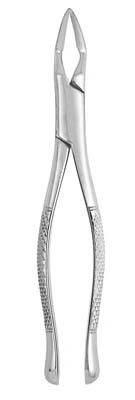 Extracting Forceps #32A