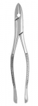 Extracting Forceps #1 - Standard