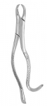 Extracting Forceps #3FH