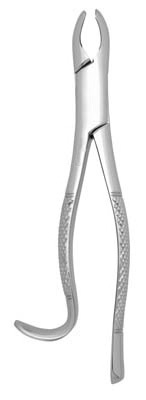 Extracting Forceps #18L