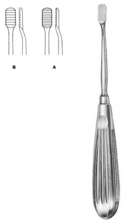 Nasal Rasp